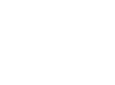 Ekko